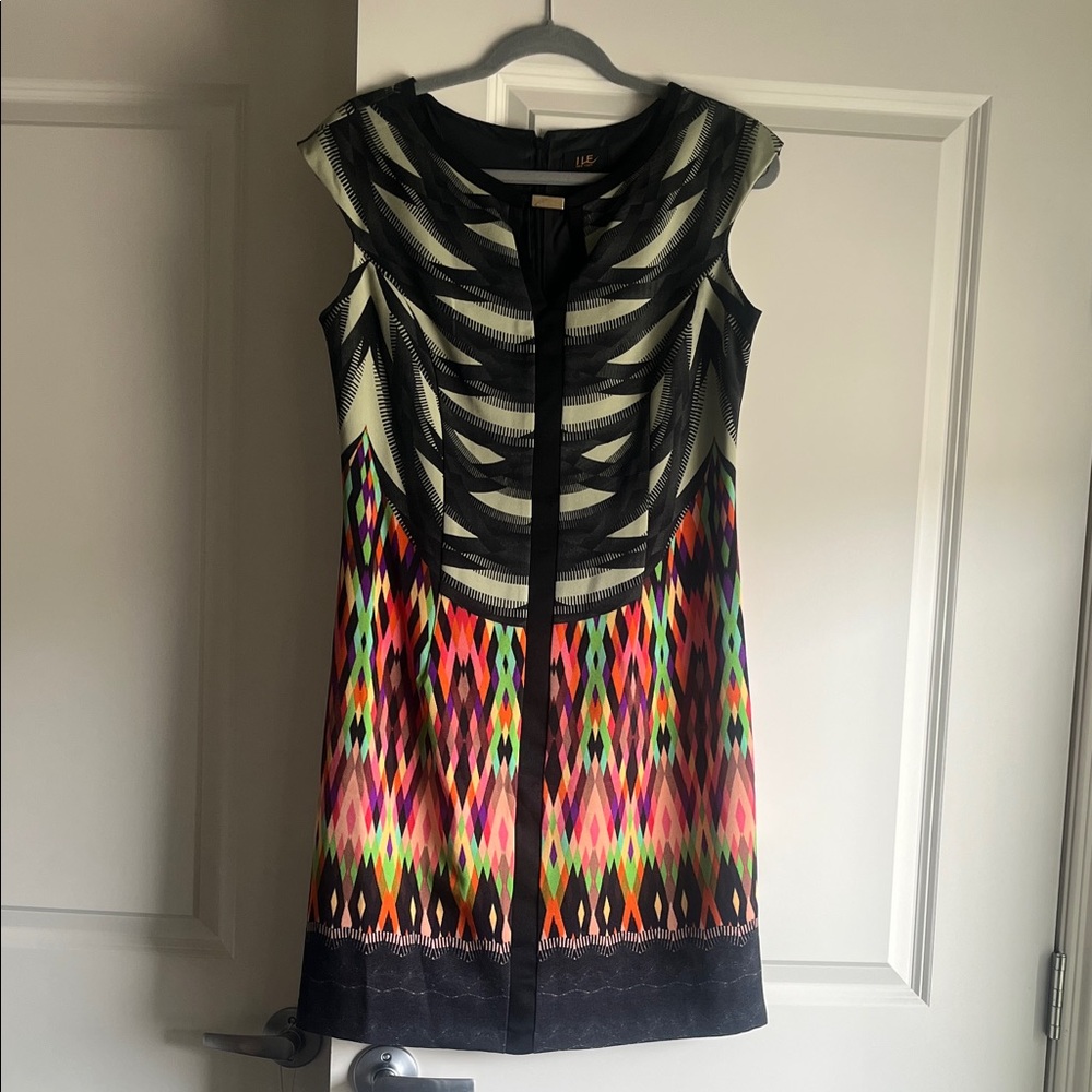 Vibrant Multicolor Mini Dress